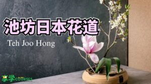 ikebana-flower