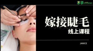 eyelash-art